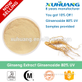 Pure Ginseng Extract Powder/Ginseng Extract